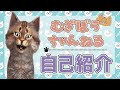 【自己紹介&初投稿】はじめまして、猫型vtuberのむぎぼうですにゃ☆【にゃんtuber】