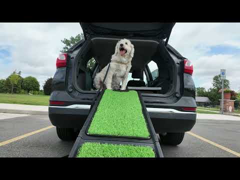 Gen7Pets Natural Step Ramp Unboxing with Celia 🐶 | First Impressions &amp; Test Run!
