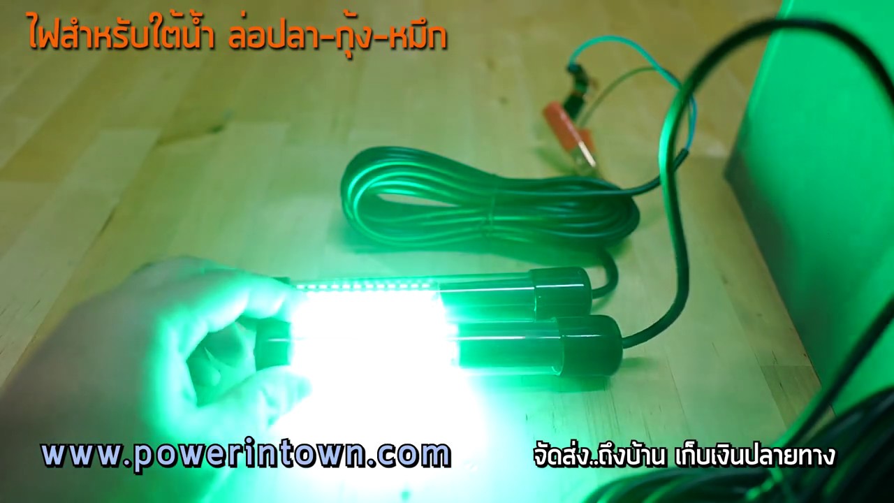 แนะนำไฟล่อปลา หมึก กุ้ง สำหรับใช้ใต้น้ำแบบ 12V ต่อตรงกับแบตเตอรี่