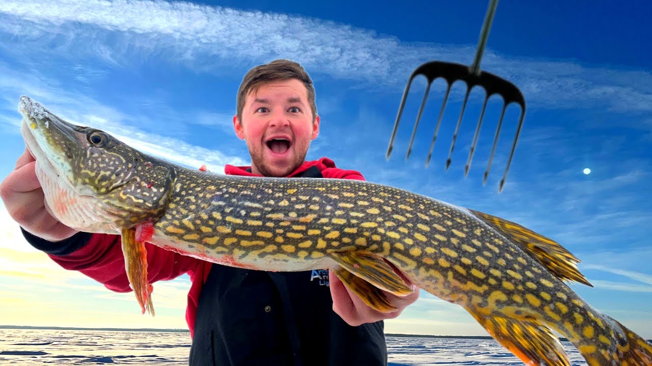 Darkhouse Spearing For Northern Pike: The Fish Were Moving 