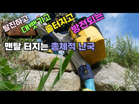 탈진하고 대뺐기고 줄터지고 방전되는 맨탈삭제 총체적 난국 폭염기 붕어낚시