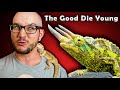 5 Reptiles That Will Be GONE In Five Years!