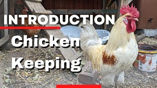 Backyard Chicken Keeping For Beginners Part 2, Cleaning, Bedding and Feeding by My Family Garden 1,929 views 10 months ago 16 minutes