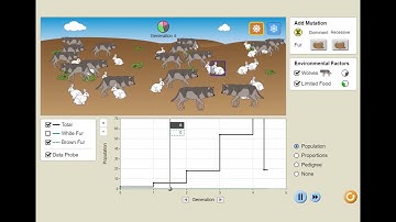 Natural Selection - Intro