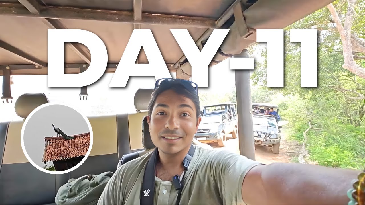 Leopard Dikha Ya Nahi? 🐆 Yala National Park Safari | Sri Lanka Wildlife Vlog Day 11 Hindi