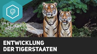 Sind Tigerstaaten als Schwellenländer zu bezeichnen?