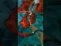 Что бы они без нас делали | Deep Rock Galactic