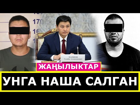 Video: Күйөрмандар сөзсүз ишенишет - Кудрявцева гелди оозунан алып салган