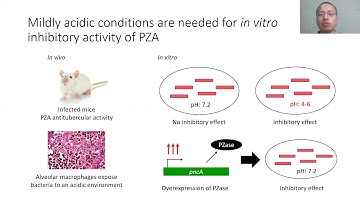 A mathematical model of the metabolism and... - Rydberg Supo-Escalante - Talk - ISCB-LA 2020