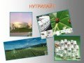 Витамины Нутрилайт