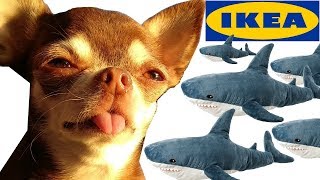 Чихуахуа Фондю в IKEA. Обзор новых товаров для животных. Что и сколько стоит?