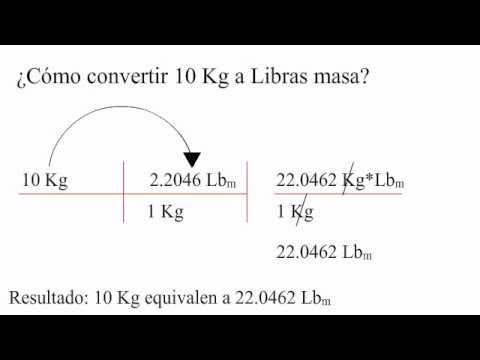 Cómo convertir de kilogramos a libras masa? - YouTube