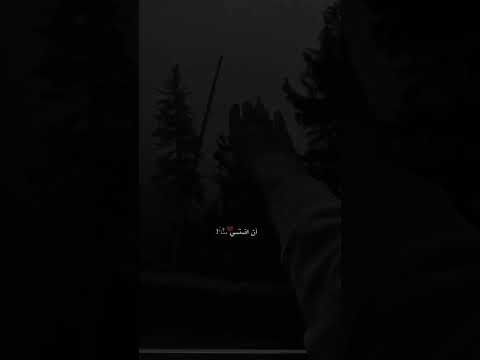 عارف تستاهلي حد غيري بس لسا شايف