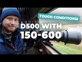 The Nikon D500 and Sigma 150-600 for Bird Photography