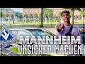 MANNHEIM UNSICHER MACHEN 🔥😂 | Alltag mit Willy 👀 | Niklas Wilson