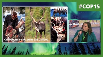 Knowledge-Sharing on Indigenous Protected and Conserved Areas | COP15 Conference