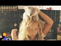 Little Girl Is An Expert Koala Rescuer | Dodo Heroes Season 1