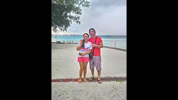 How To Install Sumome App On Your Blog