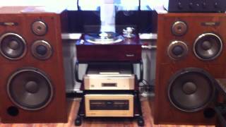 REAL SOUND Exclusive P3 + PASS ALEPH P  + Diatone DS-v9000 + Accuphase P-800...