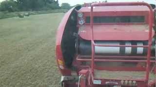 lucerne baling,southland newzealand,