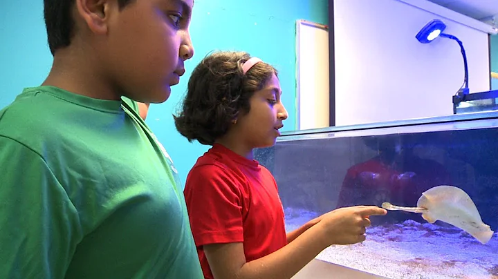 Students Dive Into Ocean Education