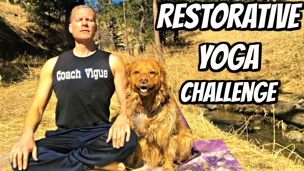 Amazing Sean Vigue Yoga Beginners Amazing Sean Vigue Yoga Beginners