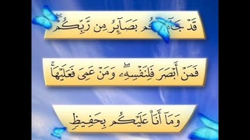 سورة الأنعام الآية ( 104 )