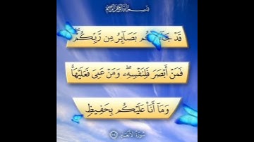 سورة الأنعام الآية ( 104 )