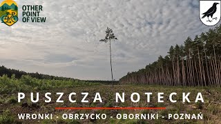 Gravelowy Klasyk Wronki Obrzycko Oborniki Poznań
