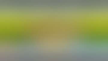 SMS Portal Updated 2024