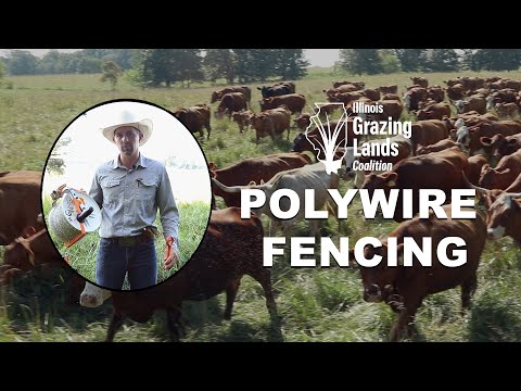 How To Set Up Temporary Paddocks with Polywire