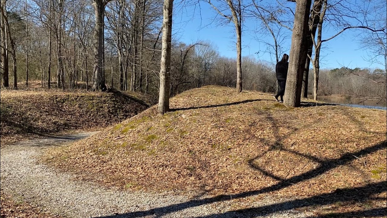 The Arrival Of Spring 🌸 Cozy Nature Video 