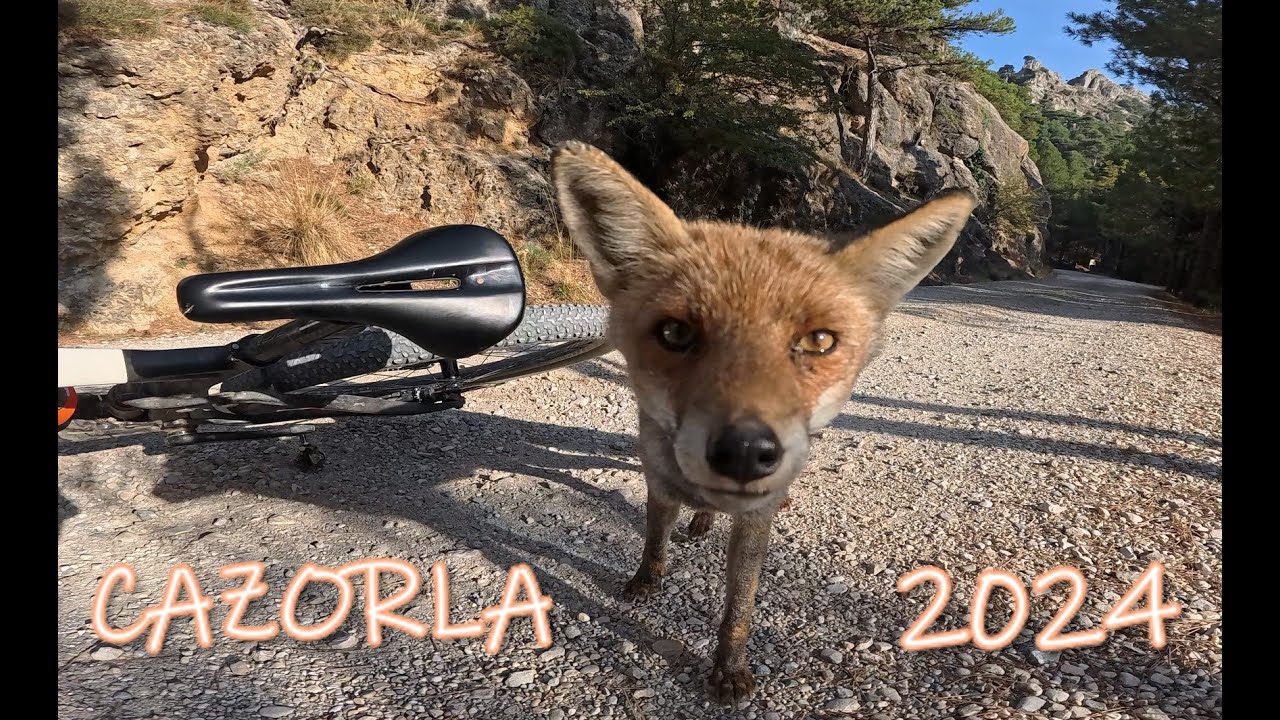 Aventura en MTB por la Sierra de Cazorla: Fauna Salvaje y Paisajes Épicos