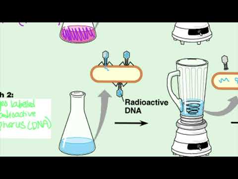 Honors Biology -