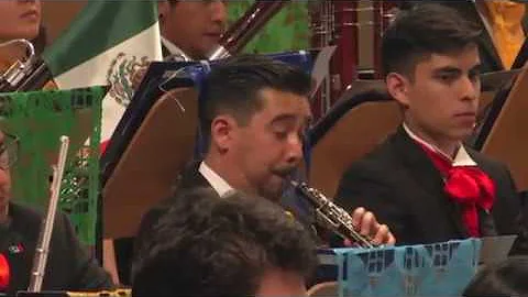 SERGIO CRDENAS:  Huapangos - YEC/Berln -  OSEM-UNAM
