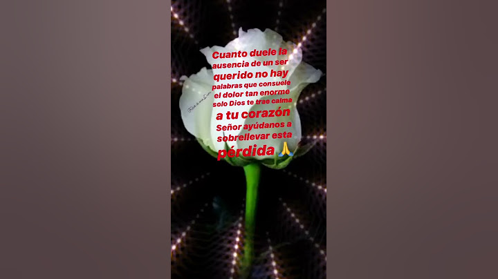 Frase de ánimo para alguien que está sufriendo una pérdida de un ser querido 🖤