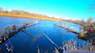 ЩУЧИЙ ДЕНЬ в НОВОМ МЕСТЕ рыбалка в коряжнике Ловля щуки на спиннинг Джиг на реке в конце осени 