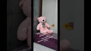 best quality imported teddy bears available in Pakistan