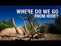 Crazy Arizona Elk Rifle Hunt! - THE ADVISORS | Where Do We Go From Here?