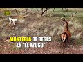 Montería en El Ayuso