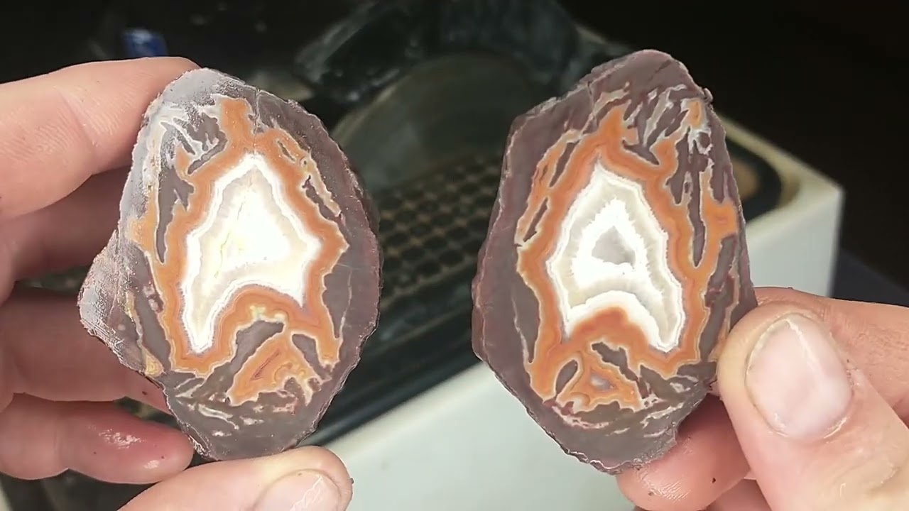 Montanas Rarest Agate! | Cutting Dry Head Agate Nadules