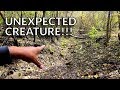 Unexpected Creature on Trail Cam!!!