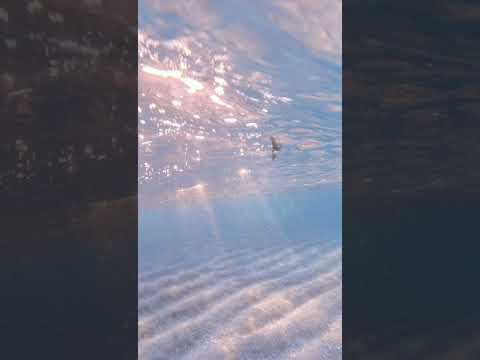 ما تيسر من سورة فاطر وإن يكذبوك فقد كذبت رسل من قبلك 5181