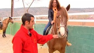 Horse riding trails in Tielmes