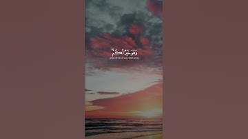 #وَعَسَى أَنْ تَكْرَهُوا شَيْئًا وَهُوَ خَيْرٌ لَكُمْ #القرآن_الكريم#راحة نفسية #تلاوة_خاشعة#اكسبلور