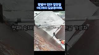 맞벌이 인데 집안 일 어디까지 도와줘야해?#사연#상담#결혼생활#집안일