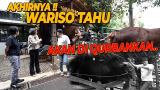 Pamit Golden Tunduk Dihadapan Wariso Saling Mengungkap Isi Hati