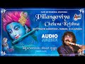 Pillangoviya Cheluva Krishna | Flute Instrumental  Audio Jukebox |  Ramani, Pravin Godkhindi,