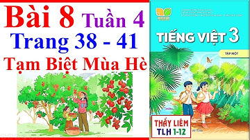 Tiếng Việt Lớp 3 Bài 8 Tuần 4 | Tạm Biệt Mùa Hè | Trang 38 - 41 | Kết Nối Tri Thức