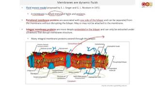 Lec 29 Lipids I (3/3)
